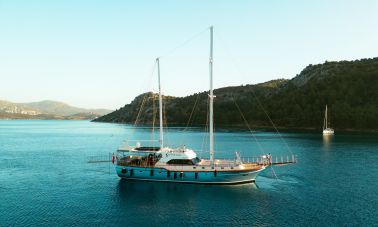 motto deluxe (305) master