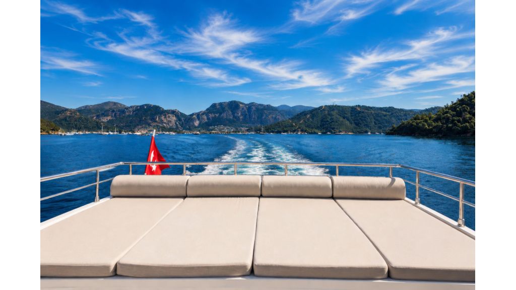 beluga motor yacht (029)