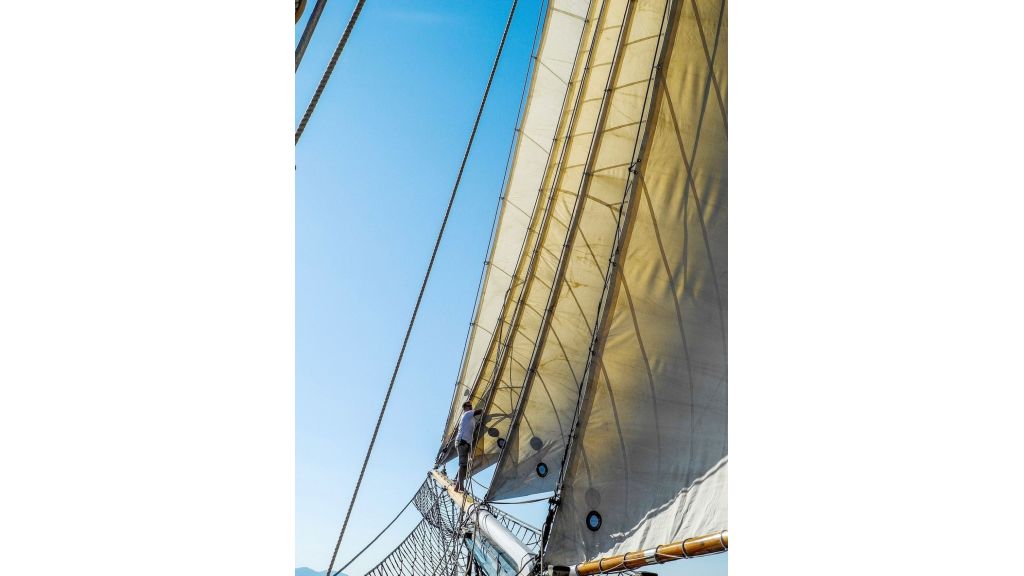 Arktos Motor Sailer (035)