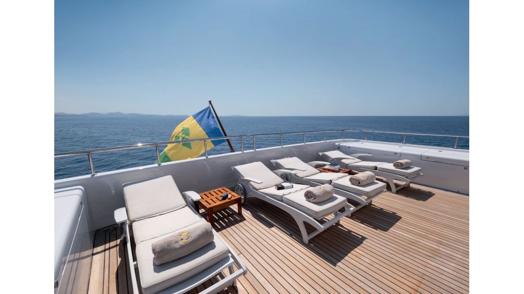 Happy Dolphin ii (505)