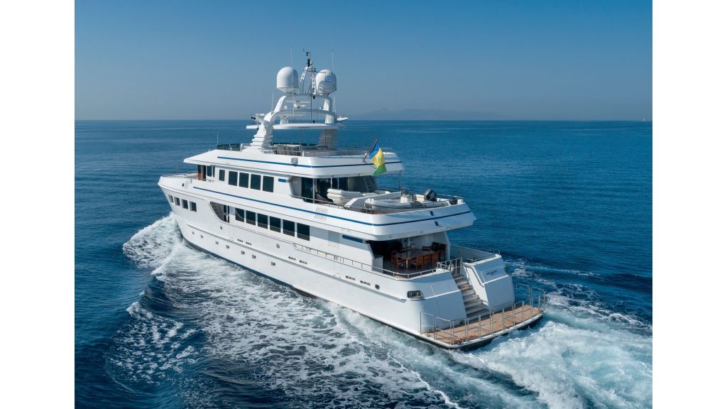 Happy Dolphin ii (512)