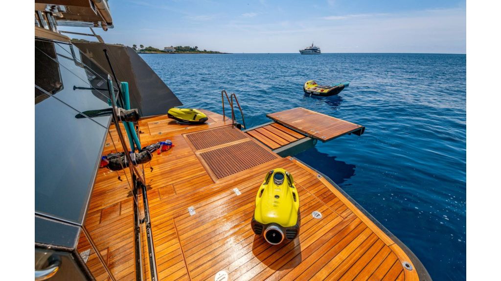 Kokonuts Wally (404)