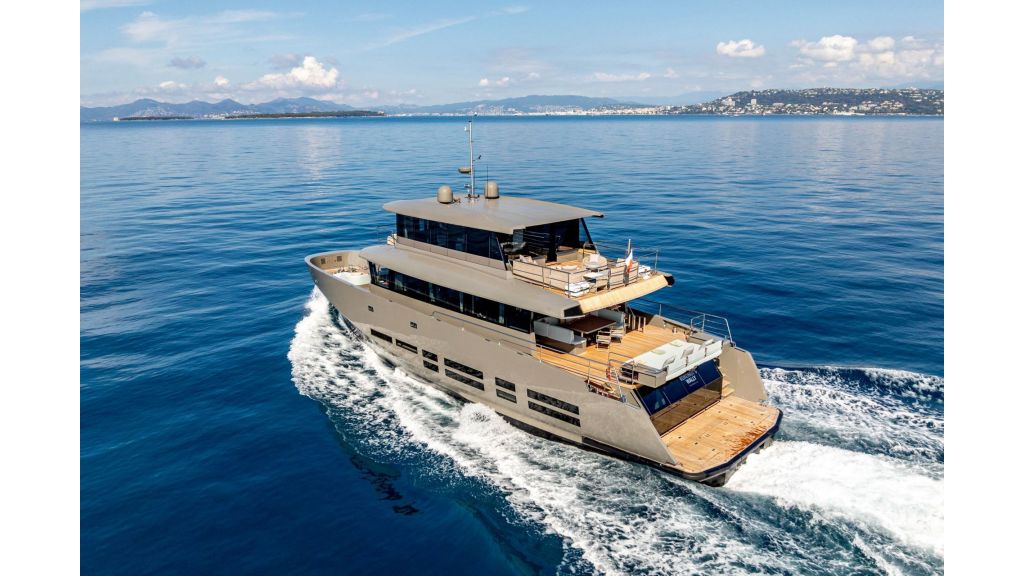 Kokonuts Wally (408)