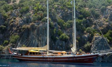 Bibi Aysegul, Bibi Aysegul 5