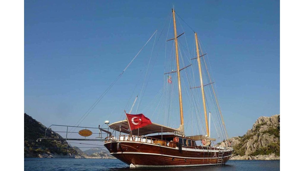 Bibi Aysegul,