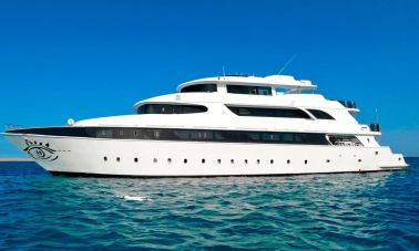 iron yacht (001) master