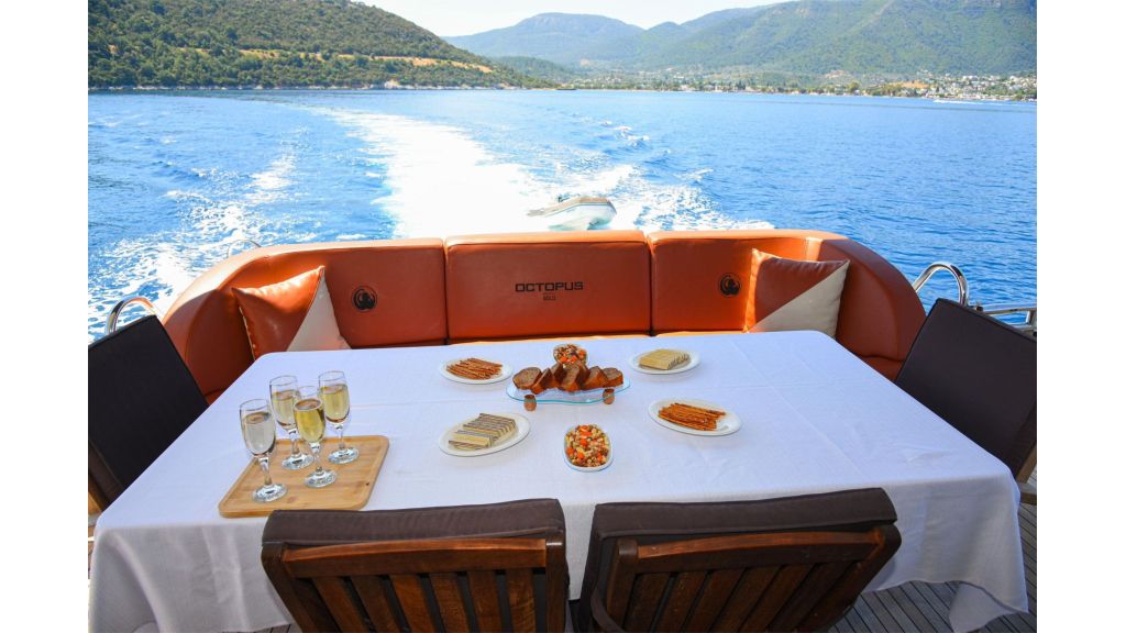 Gokce1 MotorYacht (006)