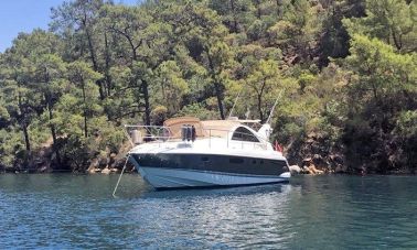 Flyer Targa 38