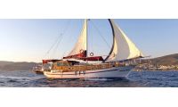 Sea Star 1
