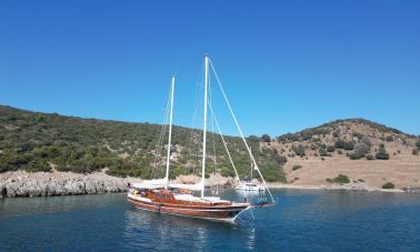 Dreamland (503) master