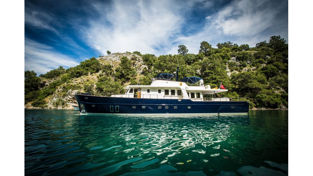 Dali Trawler Motor Yacht (24)