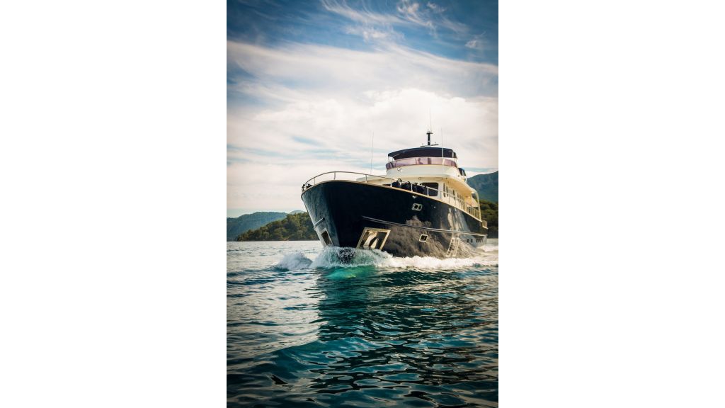 Dali Trawler Motor Yacht (29)