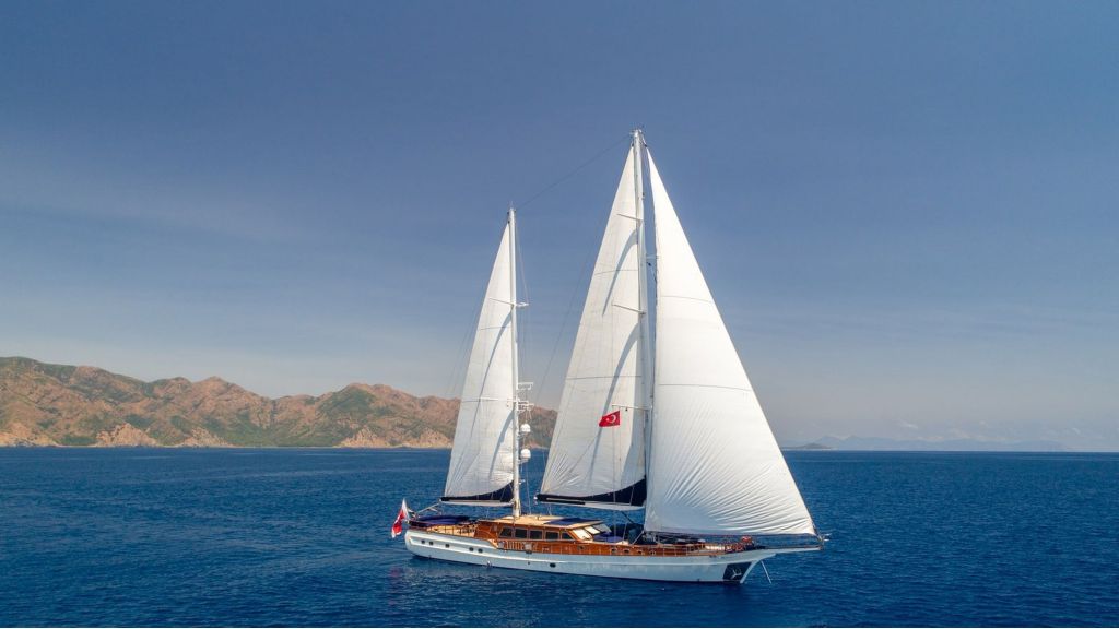 Large Gulet For Sale (702)