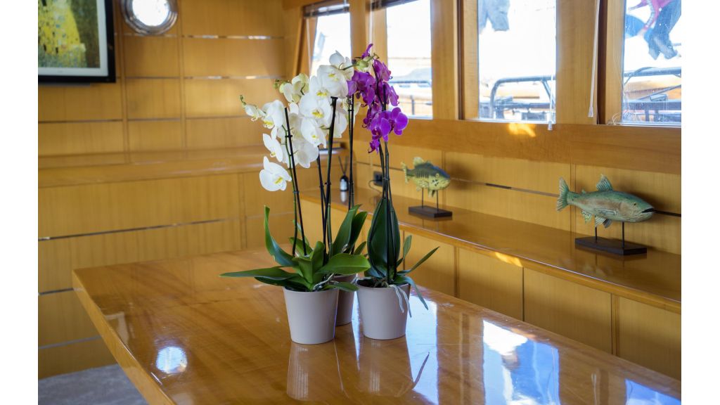 Luxury 5 Cabins Gulet (20)