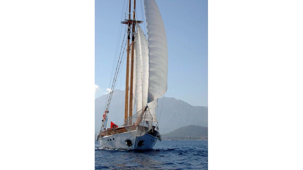 classic-schooner-for-sale (57)