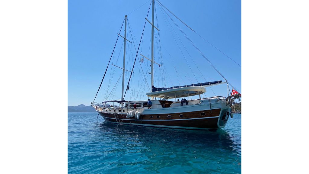Sahinoglu 1 (601)