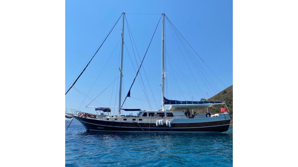 Sahinoglu 1 (603)