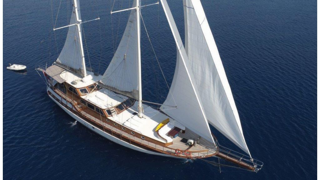 ilknur sultan (701) master