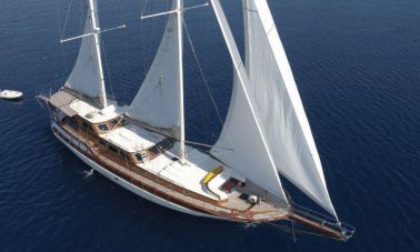 ilknur sultan (701) master