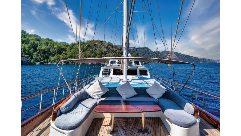 ilknur sultan (716) master