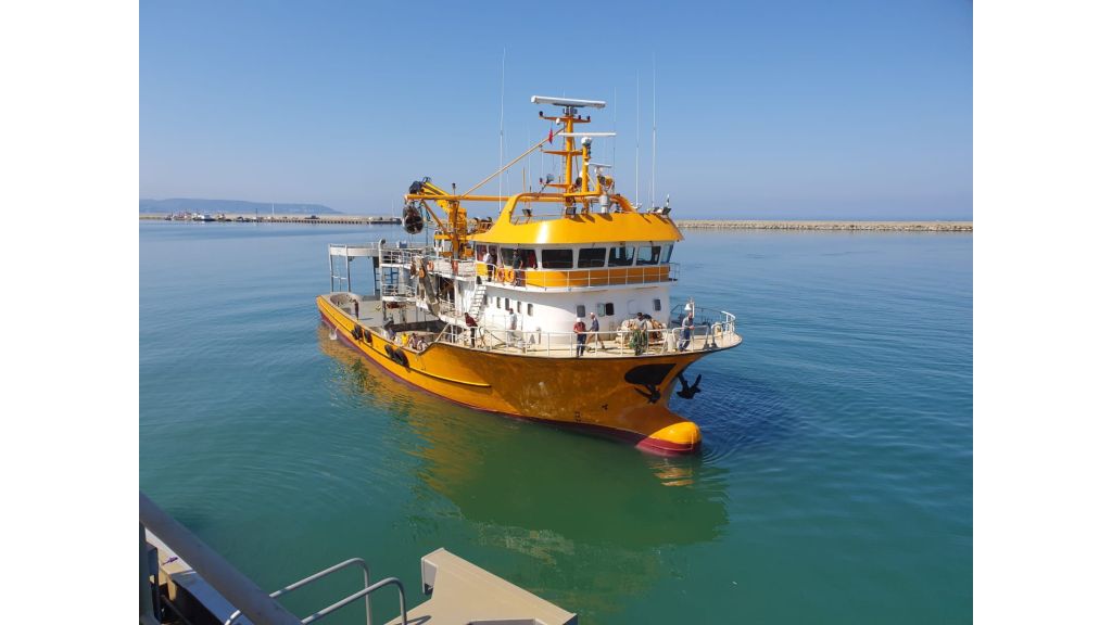 Large fishing vessels (8)