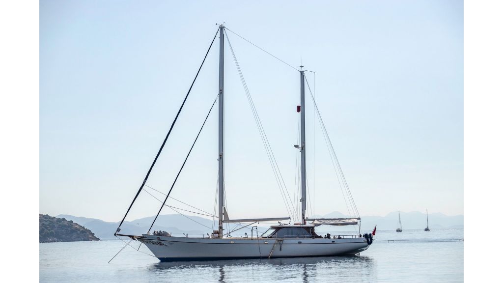 Laminated Sailing Yacht (20)