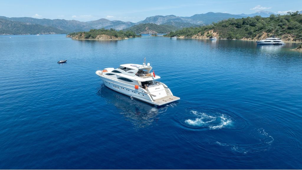 Custom Build 31M (523)