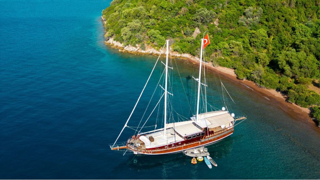 yüksel deniz (901)