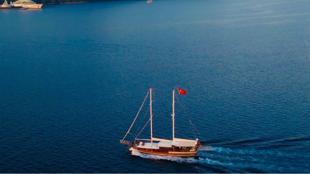 yüksel deniz (910)