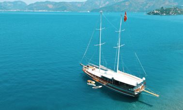 yüksel deniz (915)