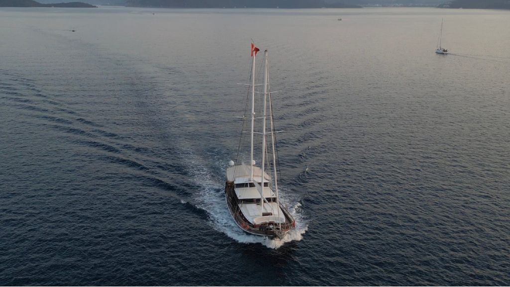 yüksel deniz (916)