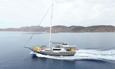 arni (002)