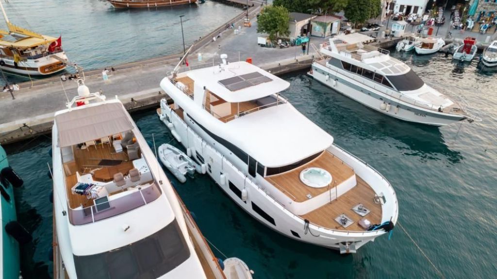 Almila (501)