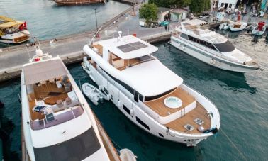 Almila (501)