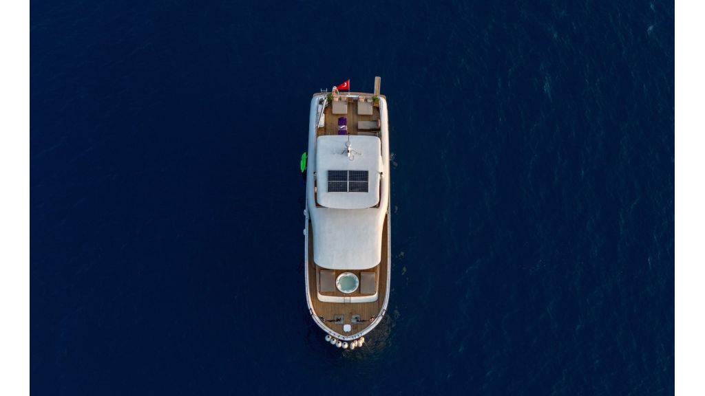 almila (802)