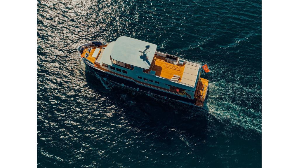 Beluga (10)