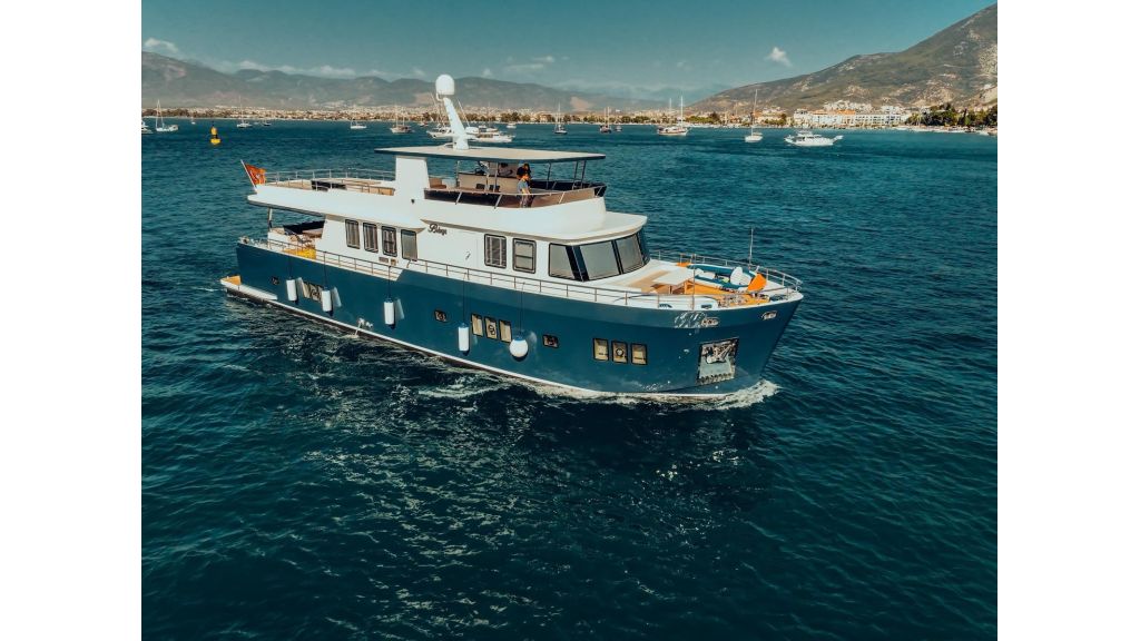 Beluga (41)