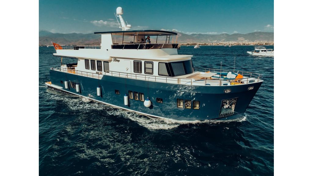 Beluga (44)