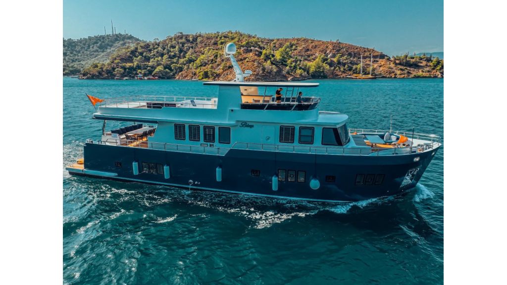 Beluga (46)