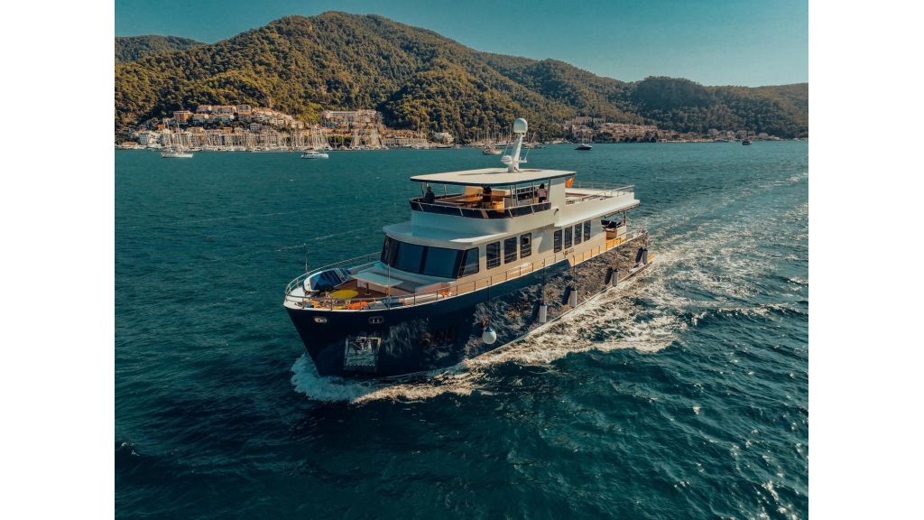 Beluga (47)