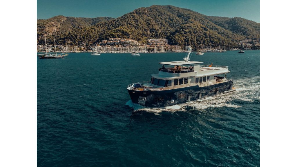 Beluga (49)
