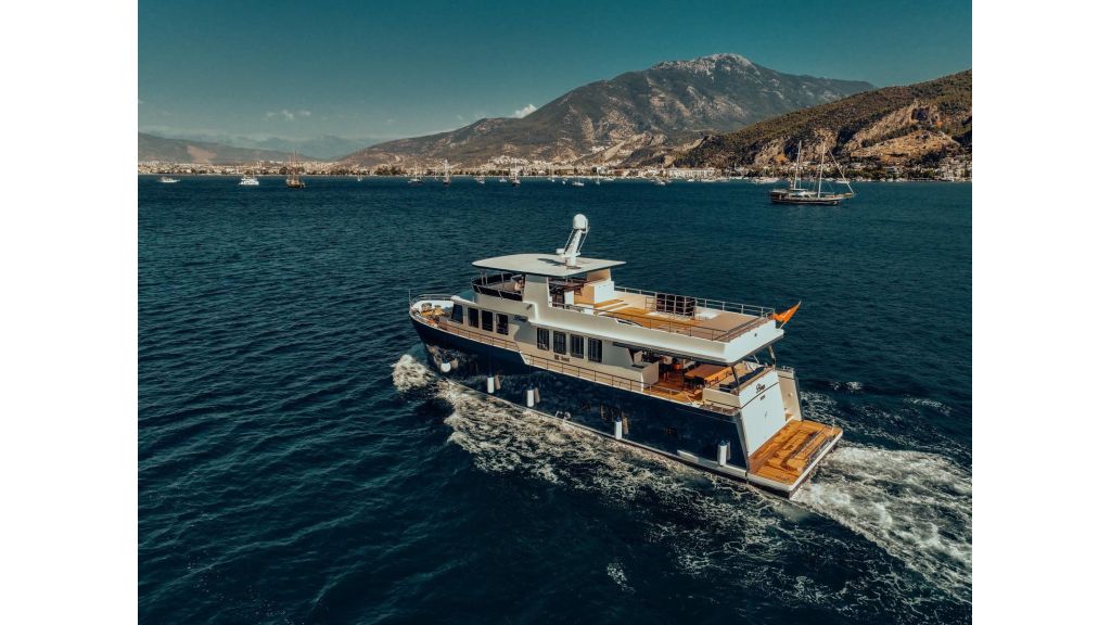 Beluga (50)