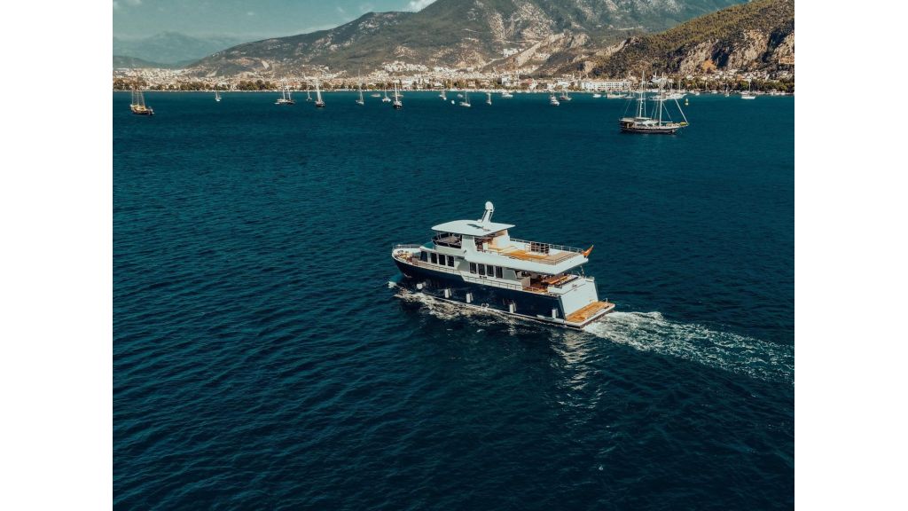 Beluga (51)
