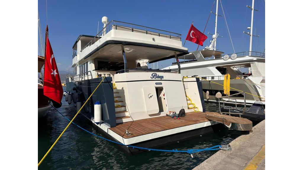 Beluga (52)