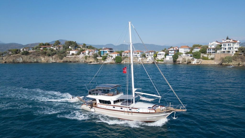 queen alin (231)