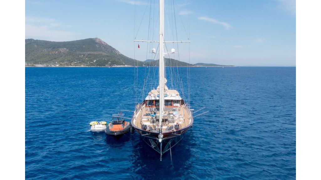 vay (205)
