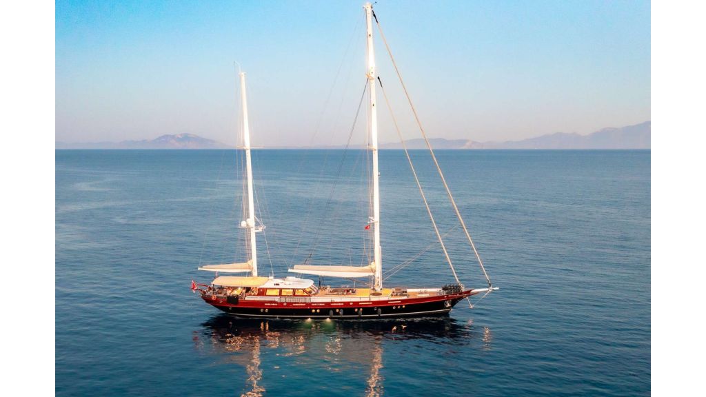 vay (233)