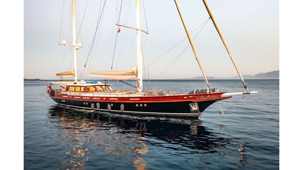 vay (235)