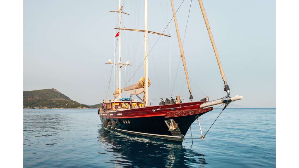 vay (236)