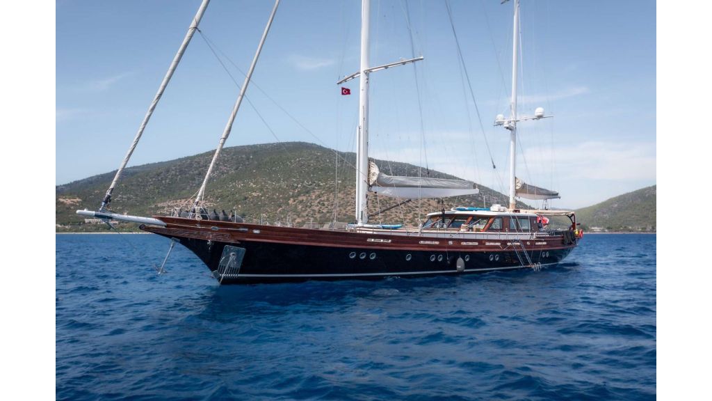 vay (237)